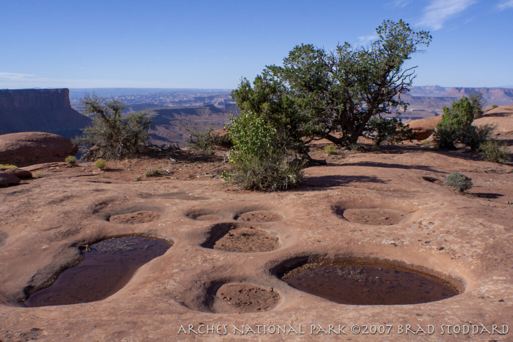 Arches Mesa Pools