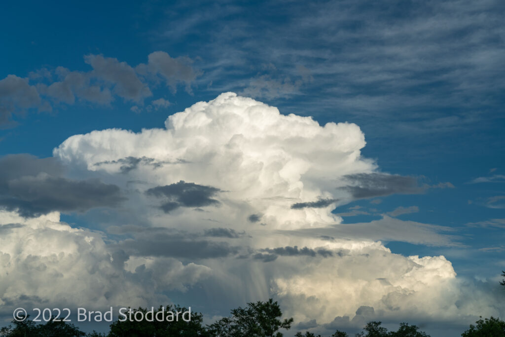 Cumulonimbus Clouds