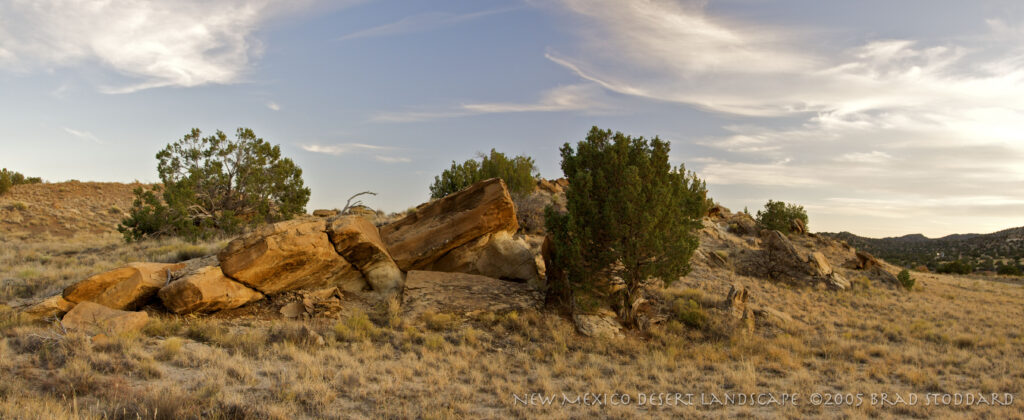 New Mexico Desert Landscape