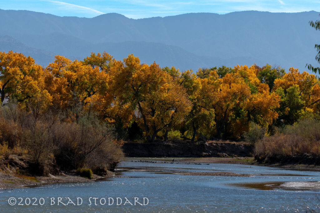 Rio Grande Bosque (3)