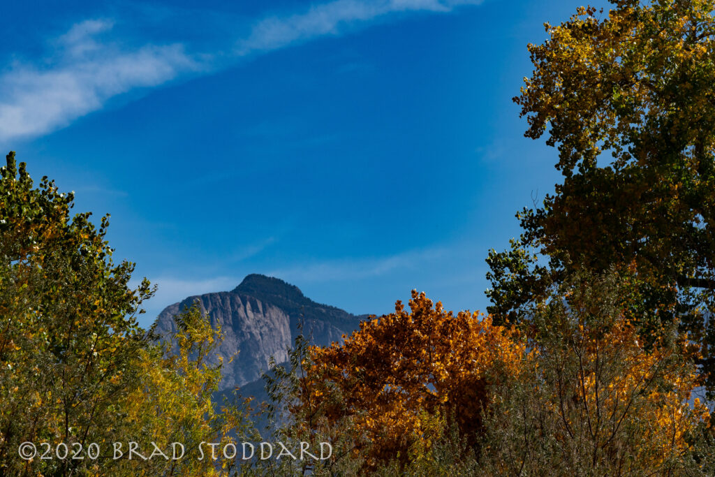 Rio Grande Bosque & Sandia Mtn.(5)